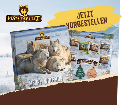 Covetrus | Wolfsblut Adventskalender